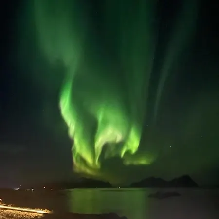Leilighet Lofoten View Kabelvåg